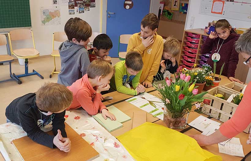 Kinder arbeiten in einer Gruppe zusammen in der DPFA-Regenbogen-Grundschule in Görlitz