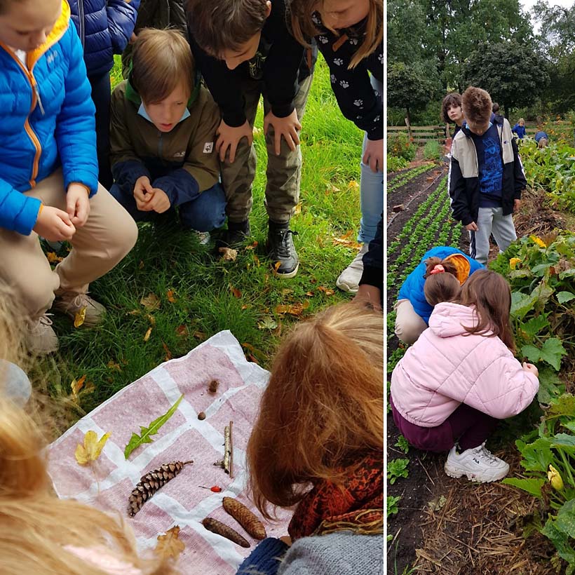 Einfach mal raus auf´s Feld: Die Kinder der vierten Klasse wissen nun viel über Gemüsesorten und wie sie angebaut und geerntet werden. Fotos: DPFA Görlitz